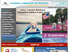 Tablet Screenshot of ciaobellaretrievers.com